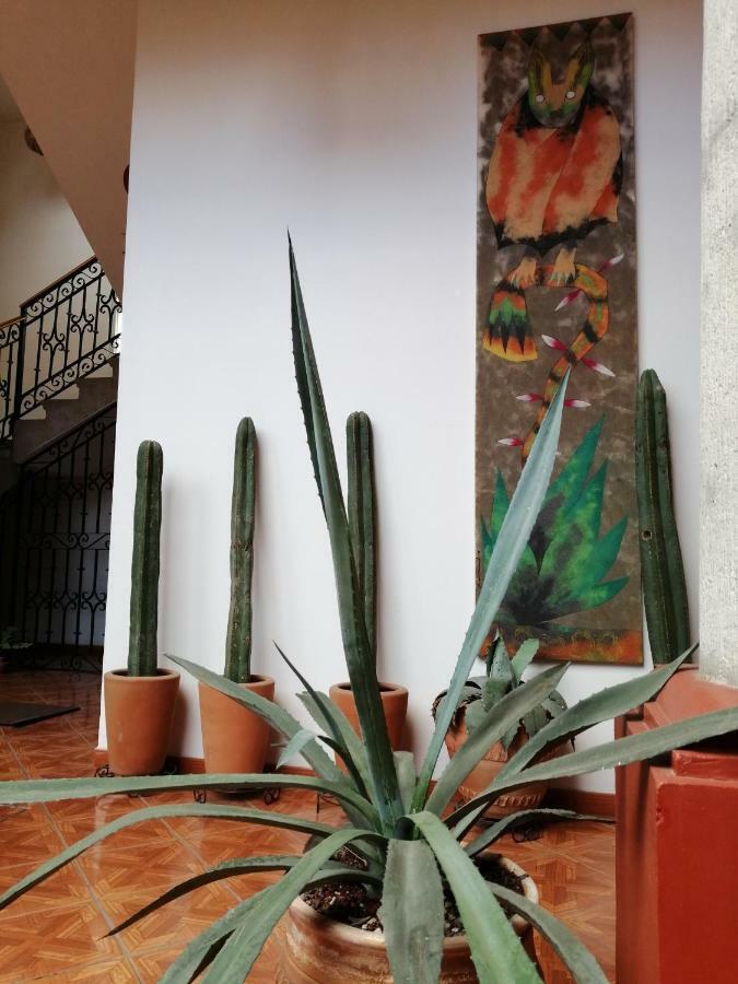 Casa Agave Oaxaca住宿加早餐旅馆 外观 照片